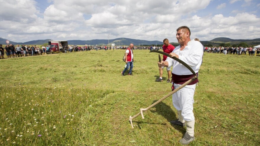 Kosci, vrijeme je da naoštrite alat - u Kupresu ponovo biraju kosbašu