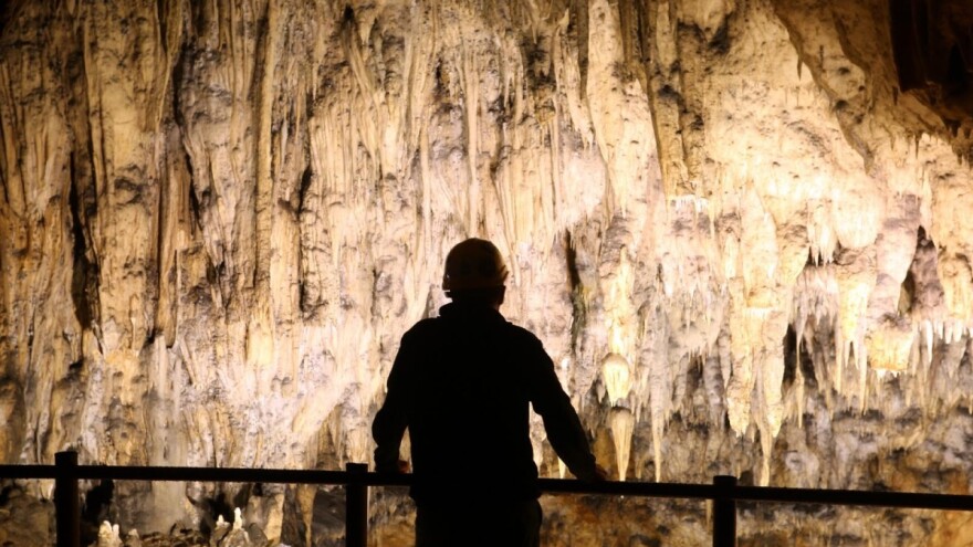 Na dodatno loš glas došli su i zbog korone, predrasude o šišimišima ruše - Baraćeve špilje