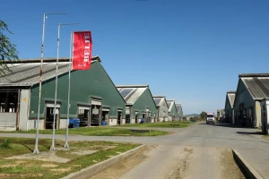 Vrijedi li Fortenova agrobiznis 500 milijuna eura?