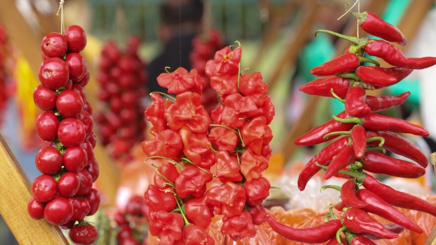 Koje su mogućnosti za poljoprivrednike u planu za industrijsku tranziciju?