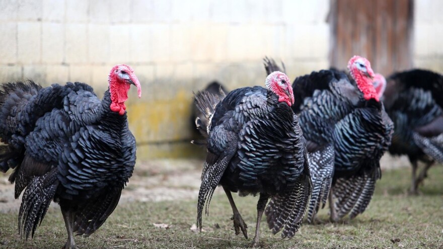 Tušek: Zagorje će uskoro imati kompletno zaštićen meni na EU razini