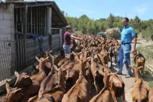 Slučaj Žampera: Agencija im odobrila, isplatila pa oduzela više od 300.000 kuna poticaja?