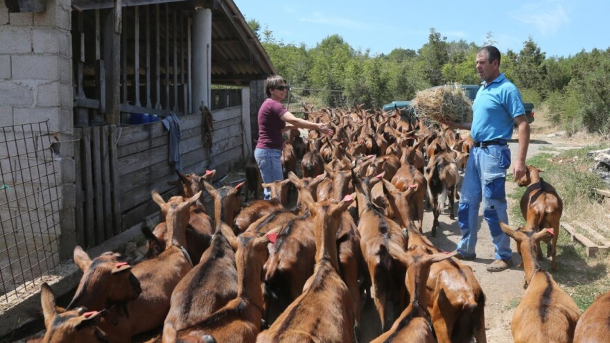 Slučaj Žampera: Agencija im odobrila, isplatila pa oduzela više od 300.000 kuna poticaja?