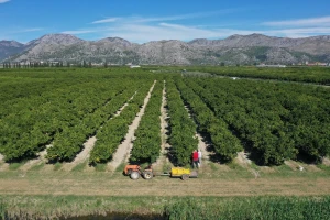 Na pomolu rješenje navodnjavanja poljoprivrednih površina u dolini Neretve?