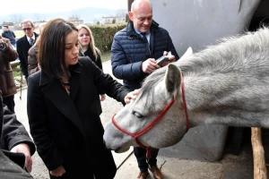 Lipicanci na ergeli u Lipiku dobivaju nove prostorije