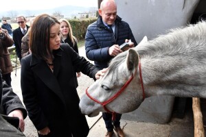 Lipicanci na ergeli u Lipiku dobivaju nove prostorije