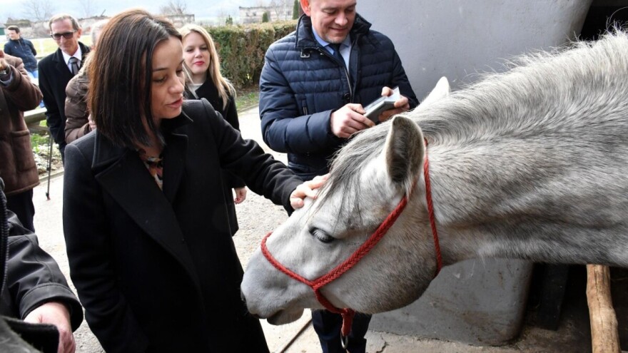 Lipicanci na ergeli u Lipiku dobivaju nove prostorije