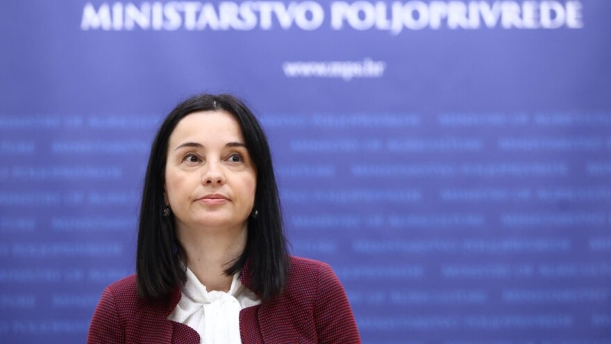 Premijer kaže da je sjajna i da vas pitamo, pa evo: Što mislite o radu ministrice Vučković?