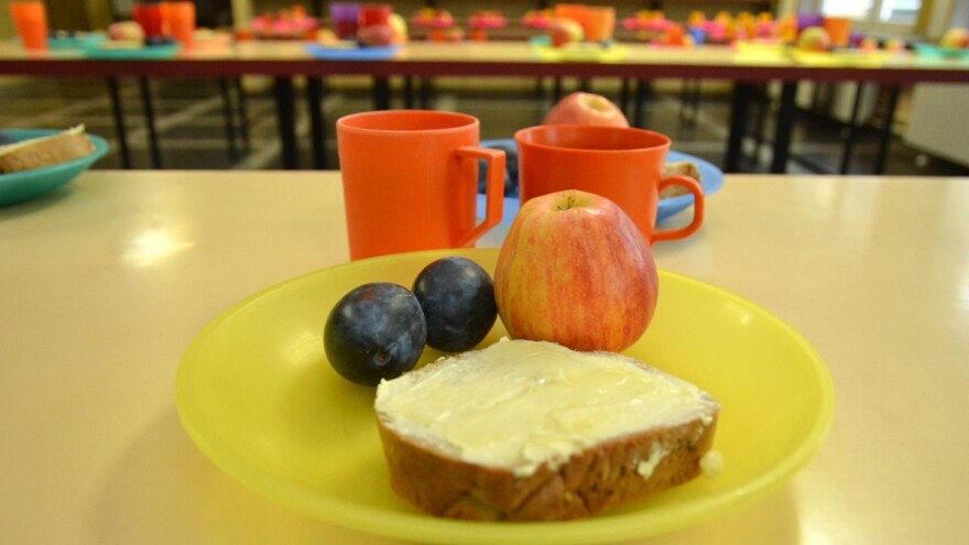 Lokalnu hranu s OPG-ova u škole, što učiniti da u većini Hrvatske nije tek pusta želja?