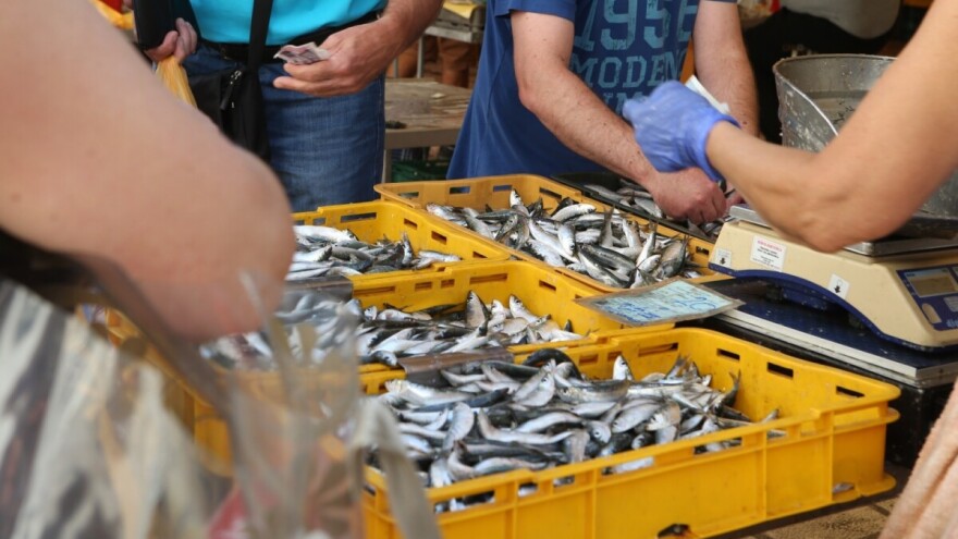 Ribari i prodavači zatvorene splitske peškarije: kako će se nakon lovostaja prodavati srdela?