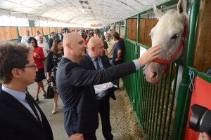Tolušić: Moj jedini cilj je da poljoprivreda postane izbor, a ne nužda