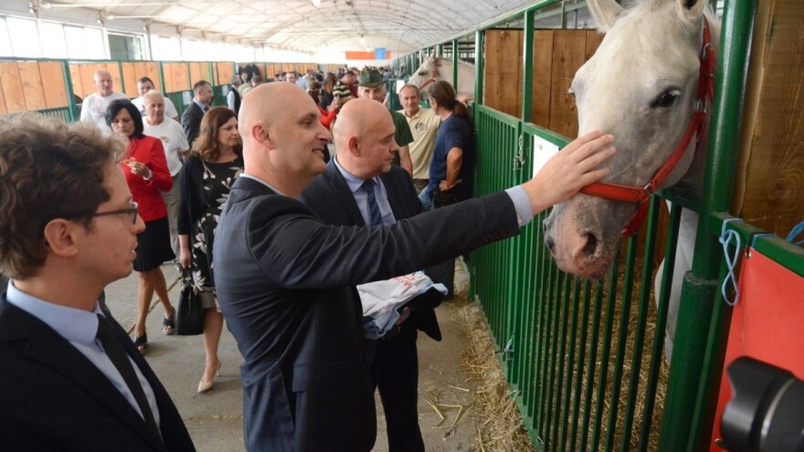 Tolušić: Moj jedini cilj je da poljoprivreda postane izbor, a ne nužda