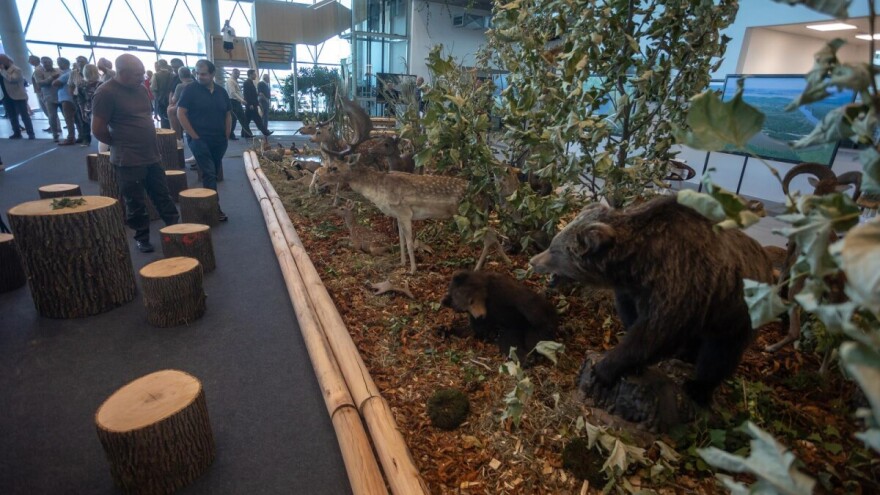 SALORI: Treba jasno propisati tko snosi odgovornost za štete od divljači u poljoprivredi