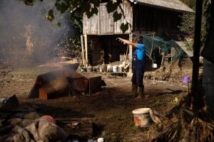 Poplavljena područja u BiH: U Fojnici ostali bez stočne hrane, kamion kukuruza poslan iz Odžaka