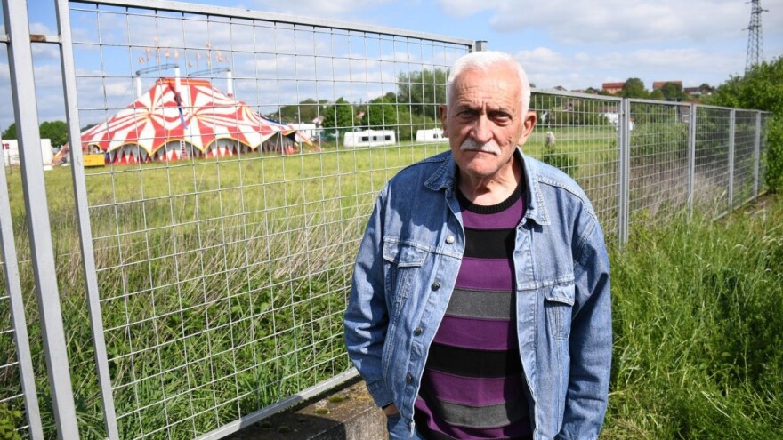 Naručio malčiranje pa dobio odgovor: Ne mogu, na livadi su ti kamile!?