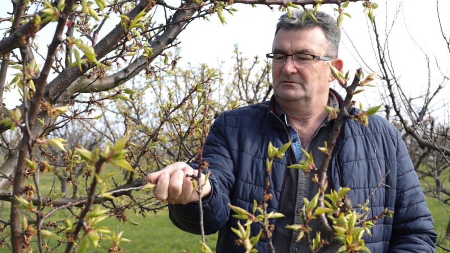 Zorić: Zbog mraza i dalje treba biti na oprezu