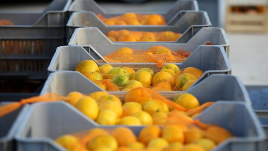 Neizdavanje otkupnog bloka? Proizvođači mandarina zatražili nadzor provedbe ZNTP-a