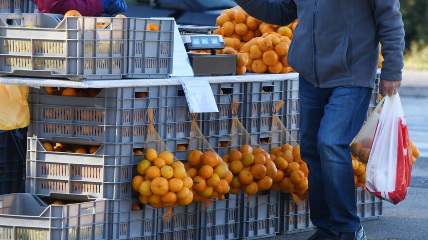 Otkupna cijena mandarina opet drastično pala - uzrok je datum, a ne tržište?