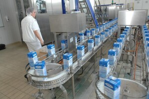 Fina: Mljekari i proizvođači sira, izuzev Megglea, pet godina uzastopno ostvarili neto dobit