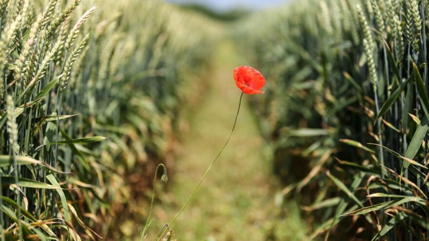 10 godina Agencije za plaćanje, posjetite podružnice diljem Hrvatske