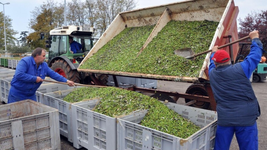 Fortenova grupa kupila Agrolagunu