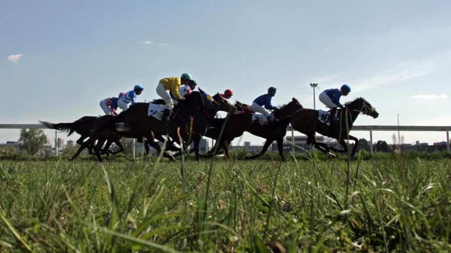 I OPG-ovi na udaru? Nastavlja se bitka za opstanak Hipodroma u Zagrebu