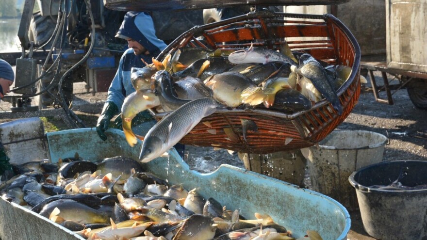 Pravilnik o ribičkom i ribočuvarskom ispitu u slatkovodnom ribarstvu