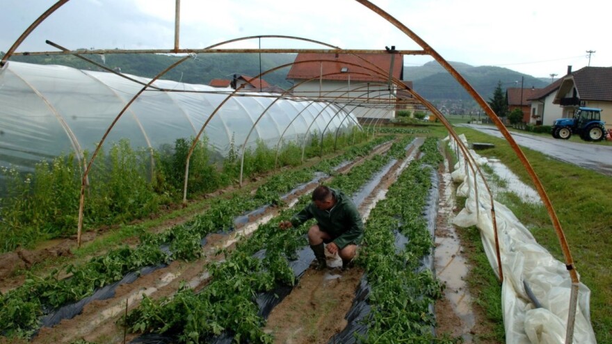 Poljoprivrednicima Požeštine 20 milijuna kuna pomoći za saniranje šteta od tuče i poplava 