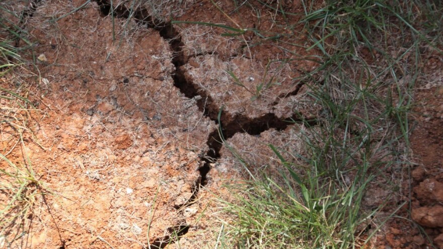 Voćke zbog suše odbacuju plodove, trošak vode ogroman, a strahuju i od novih restrikcija