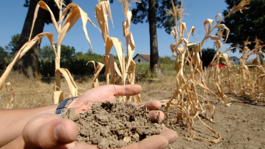 Ova godina skoro sigurno će biti najtoplija u istoriji merenja