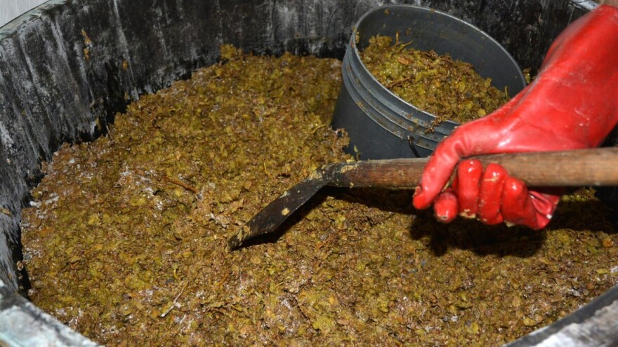 Kako se pravi rakija od grožđa: Lozovača i komovica?