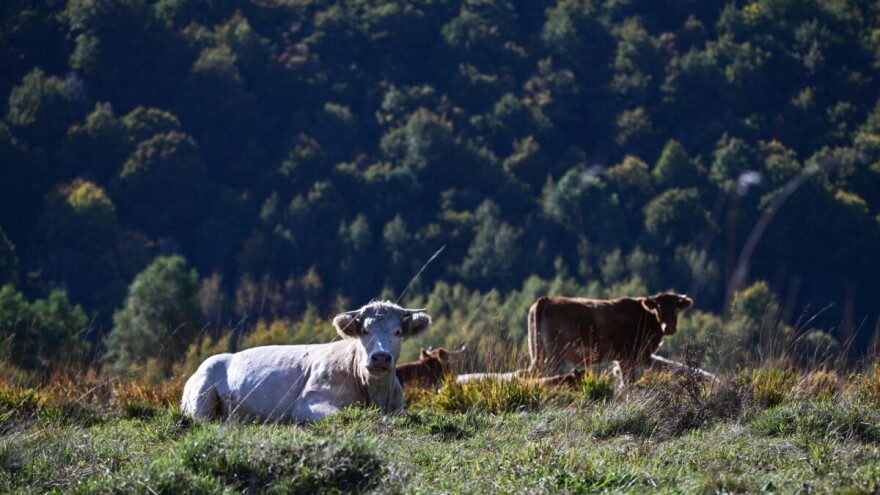 Hrvatske destinacije dobile svjetski certifikat održivosti