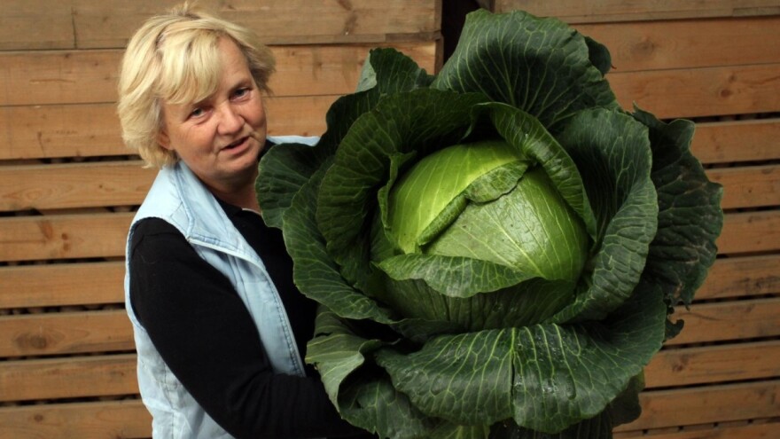 Čuvarica sjemena varaždinskog zelja u finalu za najinovativniju europsku poljoprivrednicu
