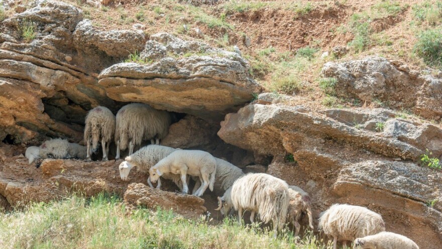 Krš, taj čaroban štih simbioze čovjeka i škrte zemlje, turistički je potencijal koji moramo čuvati
