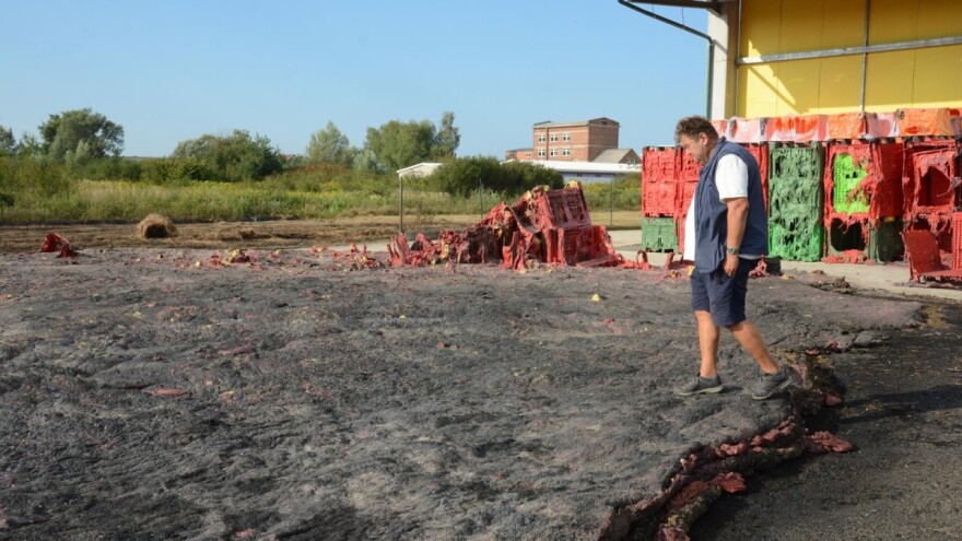 Požar u skladištu jabuka, izgorjelo 7.000 paleta