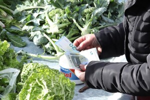 Što donosi novi Pravilnik o provedbi izravne potpore i IAKS mjera?