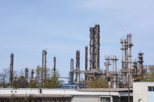 Biorafinerija u Sisku, INA obavila i dvije žetve miskantusa