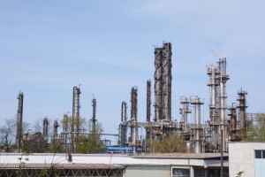 Biorafinerija u Sisku, INA obavila i dvije žetve miskantusa