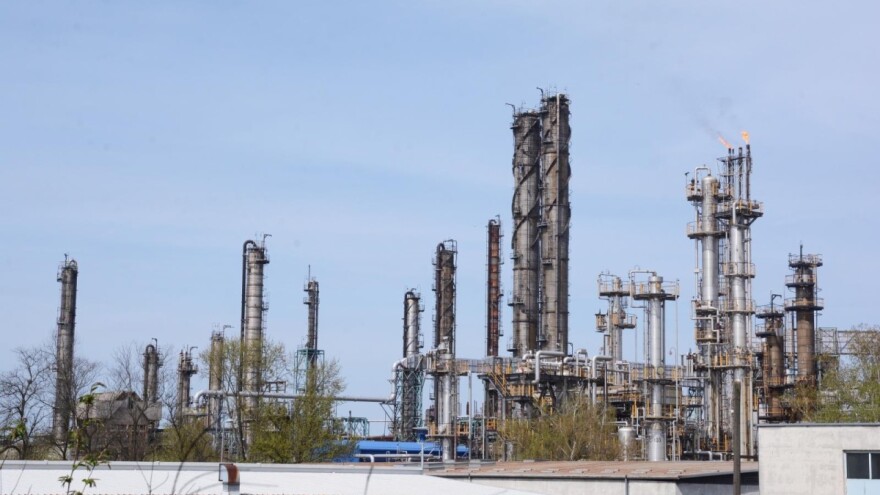 Biorafinerija u Sisku, INA obavila i dvije žetve miskantusa