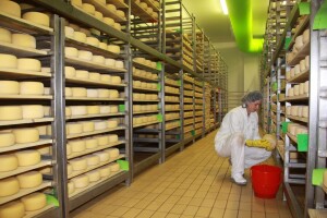 Hrvatska ima 52. proizvod zaštićen u EU, na popis dodan Istarski ovčji sir