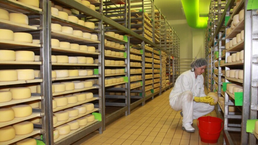 Hrvatska ima 52. proizvod zaštićen u EU, na popis dodan Istarski ovčji sir