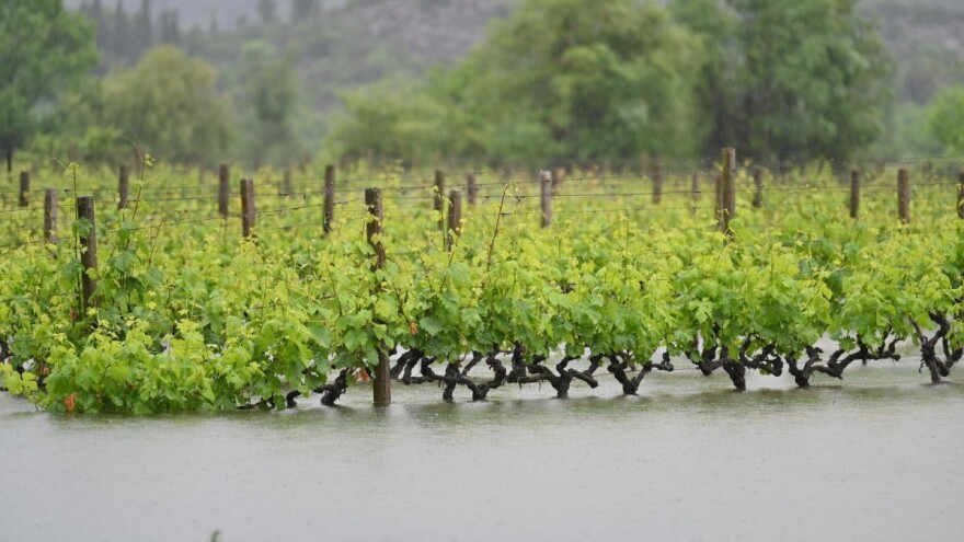 Bez karence, rezidua i vjerodajnica - folijarno gnojivo za pomoć nasadima