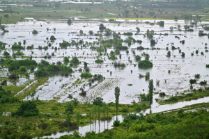 Tuga na poljima, u vinogradima, voćnjacima diljem zemlje, vrgorsko polje postalo je jezero