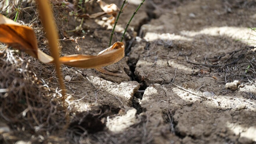 Provjerite račun, u tijeku je isplata 33 milijuna kuna potpore za štete od suša