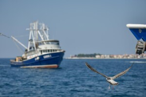Zbog pandemije Covid-19 nova privremena obustava ribolova