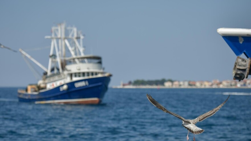 Zbog pandemije Covid-19 nova privremena obustava ribolova
