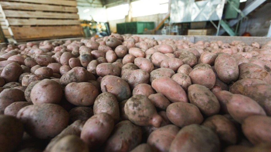 Od danas se možete prijaviti za mjeru 3, znate li što je uopće i kako se provodi?