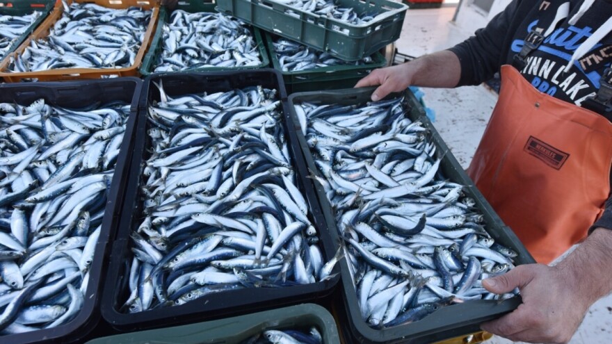 Pravilnik o dodjeli potpora u okviru mjere I.9. "Privremeni prestanak ribolovnih aktivnosti"