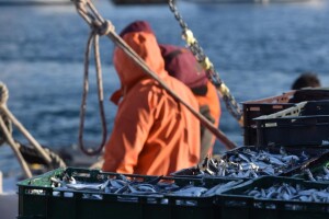 Za sektor ribarstva i akvakulture potpore povećane na 120 tisuća eura