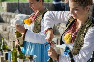 Kako su tribidrag i malvasija dubrovačka dobile novi život